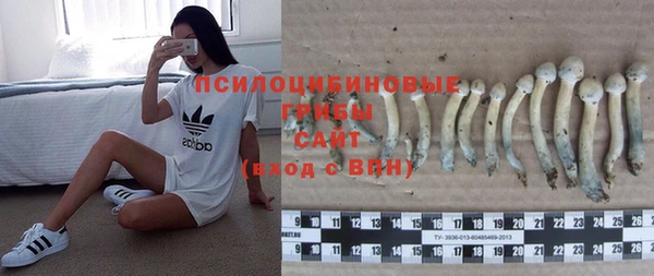 ПСИЛОЦИБИНОВЫЕ ГРИБЫ Ижевск