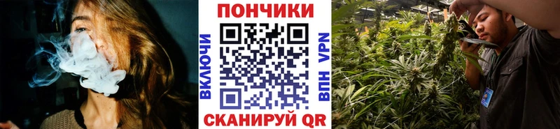 Канабис сатива  Купить где  Чегем 